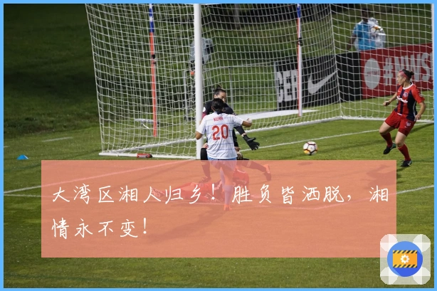 大湾区湘人归乡！胜负皆洒脱，湘情永不变！