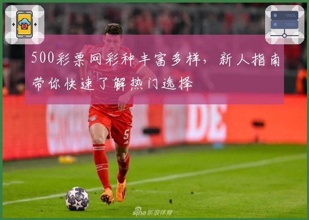 500彩票网彩种丰富多样,新人指南带你快速了解热门选择