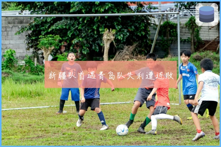 新疆队首遇青岛队失利遭连败