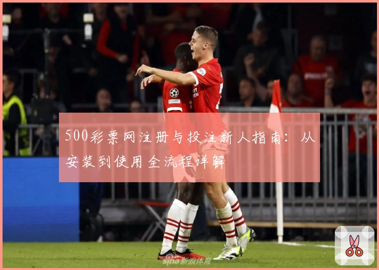500彩票网注册与投注新人指南：从安装到使用全流程详解
